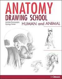 The interactions between pets and their owners, for example, reflect a form of spoken, while not necessarily verbal dialogue. Anatomy Drawing School Human And Animal Szunyoghy Andras Feher Gyorgy 9783848010080 Amazon Com Books