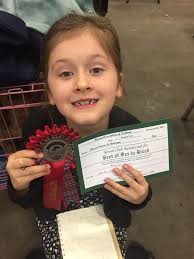 Congratulations to Maddie Buchwald👏👏 Great day at Heywood and Radcliffe  Open Show 2025 After months out the ring… Kenya (Dapperdiva Four Roses) 3rd  Post Grad Then we went