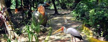 Explore the biggest bird park in thailand. Kuala Lumpur Bird Park Admission Ticket Musement