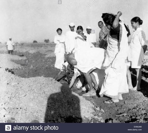 Mahatma Gandhi surrounded by associates planting a tree near Sevagram Ashram Wardha India 1941 right Abha Gandhi Stock Photo - Alamy