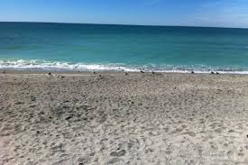 Best White Sand To Find A Guide To Siesta Key Beach Travel