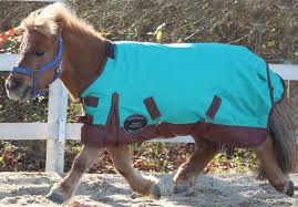 One is brand new, never used and the other one looks brand new. Foal Blankets Chicks Discount Saddlery