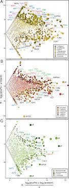 Comparative metatranscriptomics identifies molecular bases for the  physiological responses of phytoplankton to varying iron availability