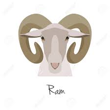 Vector Flat Cartoon Horned Ram Head Farm Animal Goat Muzzle Royalty Free Cliparts Vectors And Stock Illustration Image 69667669 Animal ram clipart free download! vector flat cartoon horned ram head farm animal goat muzzle