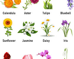 Learn the useful list of over 50 popular flower names in english with example sentences and esl printable infographic. Flowers Names Archives Lessons For English