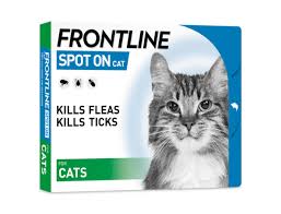 Fleas infect many different types of animals, including birds, so not having access to fellow felines or dogs is no guarantee that your cat will be safe from fleas can live without a host for a relatively long time and may have snuggled up into the carpeting of your new home, just waiting to pounce on an. Frontline Spot On Flea Treatment Cats Frontline