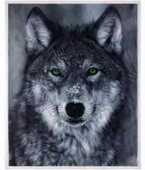 Velvet To Sherpa Photo Real Wolf Reversible Throw Blanket 1 Each Walmart Com Wolf Photos Wolf Pictures Decorative Throws Blanket
