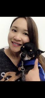 Grief and support for loss of a beloved pet