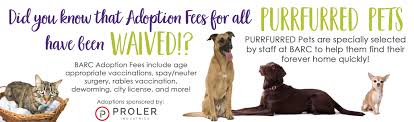 The adoption fee for cats and dogs is $75 and includes the following: Adopt A Pet Search Adoptable Pets