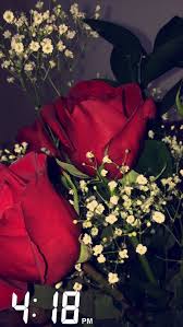 1920x1080 klar, wã¼rfel, rot, rote rosen, rosen apple background hintergrundbilder 1920x1080 kostenlose wallpaper, bild, foto, hintergrund, material, herunterladen. Pinterest Yasmeen Abubakar Ideias Instagram Lindo Buque De Flores Wallpapers Bonitos