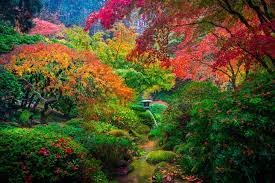 The Japanese Garden In Portland Oregon Portland Japanese Garden Japanese Garden Landscape