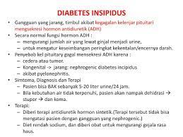 Hipofisis dibagi menjadi hipofisis bagian anterior, bagian tengah (pars intermedia), dan bagian posterior. Sistim Endokrin Nutrisi Dan Metabolik Ppt Download