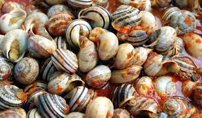 #lumache #spurgare #cucinaredopo la pioggia l'orto ci regala anche la carne ovvero lumache di terra in cerca di cibo per la loro stessa sopravvivenza. Le Lumache Di Terra Con Il Picchi Pacchi Secondo La Ricette Della Nonna