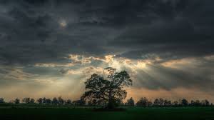 Maybe you would like to learn more about one of these? Hd Backgrounds Photos Group 87