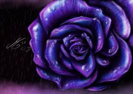 Check spelling or type a new query. Blue And Purple Rose Wallpapers Top Free Blue And Purple Rose Backgrounds Wallpaperaccess