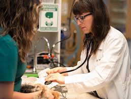 Emergency pet care near me. Monroe Emergency Vet Pet Emergency