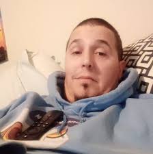 Isopods are back!! 🖤 These are Porcellio Laevis Dairy Cow Isopods! 🐄  Unfortunately this type does not roll into a ball, like roly poly's but you  can find those under Armadillidium Vulgare