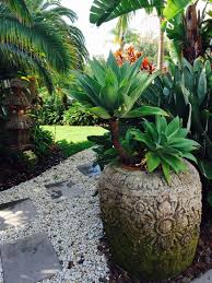 Pin On Cactus Gardens Succulents