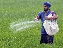 Image result for DR AMAR NATH GIRI EHSQ
