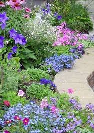 Darlene Nemeth Seven Paths Lesson 3 Beautiful Gardens Plants Garden Images