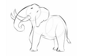 We did not find results for: How To Draw An Elephant Easily Adobe