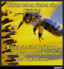 Warum Haben Bienen Eine Konigin Lustige Bilder Spruche Witze Echt Lustig Tiefsinnige Spruche Lustige Spruche Bilder Schone Spruche Lebensweisheiten