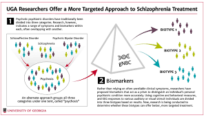 Image result for Schizozygia