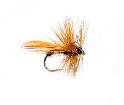 Fishing dry flies for trout on still waters is about as exciting as fly fishing gets. Caddis Brown Fluttering Dry Fly Fishing Flies Fishing Flies Online Trout Flies