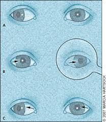 Image result for Cover Test