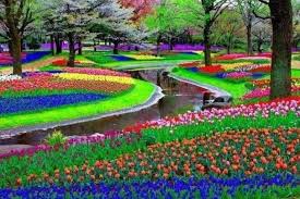 Begitu kamu memasuki taman ini. Taman Bunga Keukenhof Ranjang Tulip Terbesar Sedunia