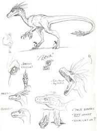Skull Island Raptor By Matt Frank Dinosaur Drawing Dinosaur Art Animal Sketches