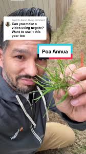Replying to @Aaron Allen using Negate for Poa Annua #lawncare #lawncarelife  #lawnmaintenance #poaannua #diylawncare #herbicide
