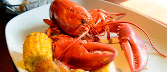 What is the most popular lobster dish?