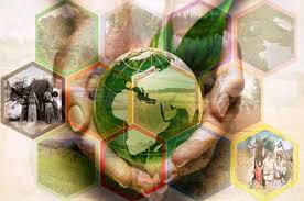 Gk Questions And Answers On The Environmental Movements In India