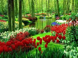 greenery 1080p 2k 4k 5k hd wallpapers free download wallpaper flare greenery 1080p 2k 4k 5k hd