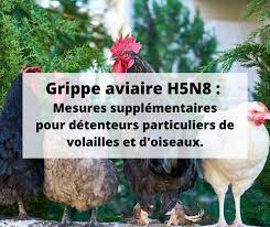 Cette infection peut toucher presque toutes les espèces d'oiseaux. Grippe Aviaire H5n8 Mesures Supplementaires Pour Detenteurs Particuliers De Volailles Et D Oiseaux Bienvenue A Houyet
