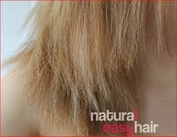 Bleach is essentially a blank slate for your hair. Best And Easy Natural Hairstyles Hair Styles Long Hair Styles Hair