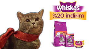 Migros Turkiye V Twitter Kedinizin En Sevdigi Mama Hangisi Whiskas Diyorsaniz Bu Indirimi Kacirmayin Migros Kedinize De Iyi Gelecek Https T Co Mybdtzsuse Https T Co Zsezujkn3j