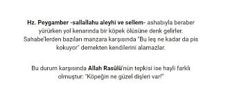 Hz Peygamber Sallallahu Aleyhi Ve Sellem Ashabiyla Beraber Yururken Yol Kenarinda Bir Kopek Olusune Denk Gelirler Sahabe Lerden Bazila 2020 Allah Manzara Dualar