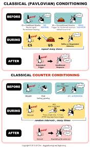 Classical Conditioning Counter Conditioning Dog Psychology Dog Training Methods Dog Training