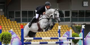 Seine nachkommen gewinnen internationale große preise. Luciana Diniz Gewinnt Gp Hendrik Sosath Dritter Spring Reiter De
