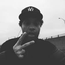 Phoenix Rizin (@PhoenixRizin)