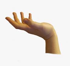 Transparent Hands Png Grabbing Hand Woman Transparent Background Png Download Kindpng Once background removal process is completed. transparent hands png grabbing hand