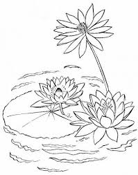 Get the markers out and make an average day a little more magical (for free!) by printing out a few of our favorite fairy, rainbow, and baby unicorn coloring pages. Lilii Na Vode Lilies Drawing Coloring Pages Lily Pads