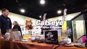 Top pest control services in naples, fl. Catseye Pest Control Home Facebook