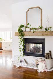 Propagating Pothos As Simple Spring Mantel Decor Fireplace Mantel Decor Fireplace Mantle Decor Mantel Decorations