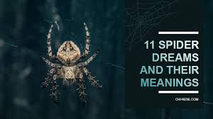 Spider Dream Meaning Spider Spiderdream Dreammeanings Dreaminterpretation Dreaminterpretation Tarantula Spider Dream Meaning Dream Meanings Spider