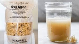 We did not find results for: What Is Sea Moss Benefits How To Make Irish Sea Moss Gel