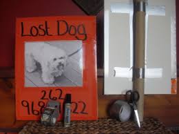 Findpet automatically preselects all similar lost and found pets and our volunteer community of pet lovers does the final matching. Tips For Posting Lost And Found Pet Flyers Pet Fbi
