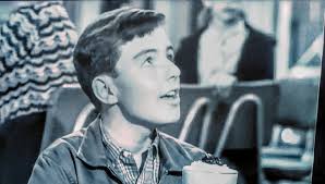 Leave It to Beaver" Beaver, the Hero (TV Episode 1962)